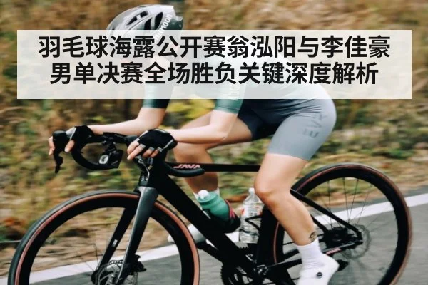 羽毛球海露公开赛翁泓阳与李佳豪男单决赛全场胜负关键深度解析