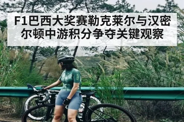 F1巴西大奖赛勒克莱尔与汉密尔顿中游积分争夺关键观察